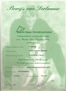 gehoorzaamheidstraining1 gehoorzaamheidstraining Uw hond gehoorzaam in 10 lessen